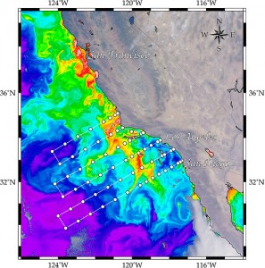 Satellite image of \emph{Chl a} concentrations off of the coast of California. Overlaid is the location of all 62 study sites. Image used without modification from Haili Wang.